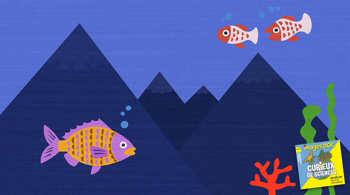 Illustration pour le podcast pour les enfants “Curieux de Sciences” : “Y a-t-il des montagnes au fond des mers ?”