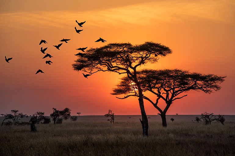 Séjour en famille en Tanzanie - coucher de soleil